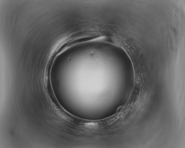 X0000113620053200909181448