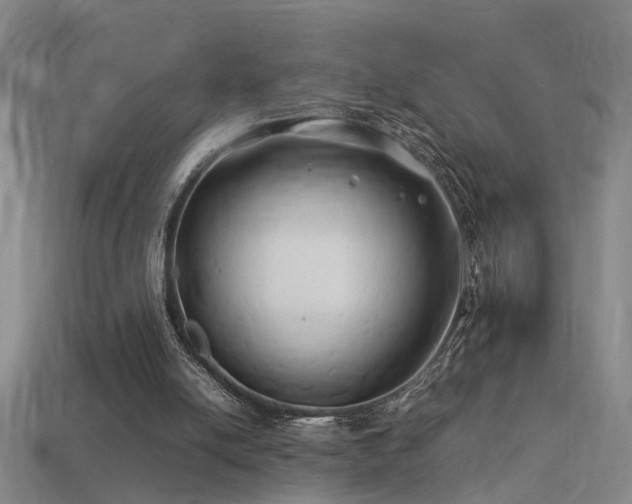 X0000113620054200909181448