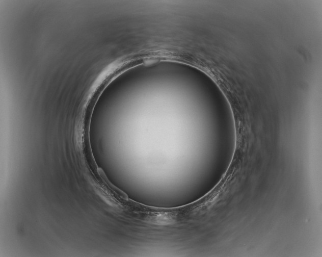 X0000113620056200909181448