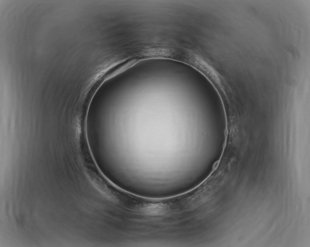 X0000113620059200909181448