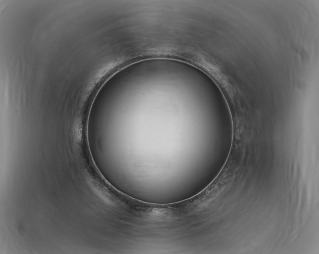 X0000113620060200909181448