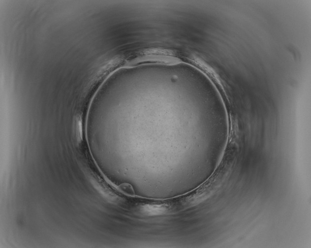 X0000113620061200909181448