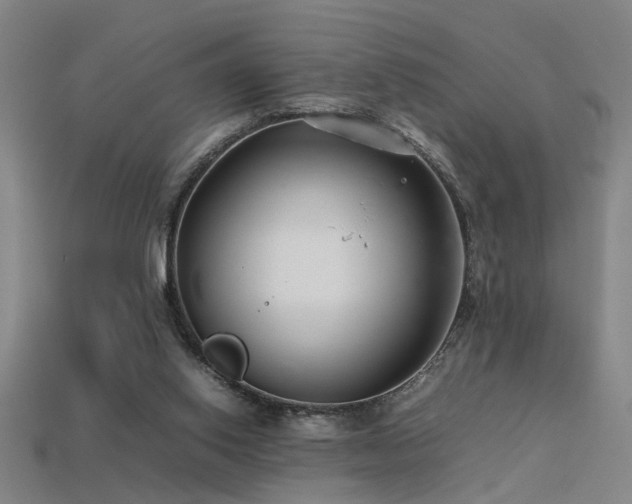 X0000113620062200909181448