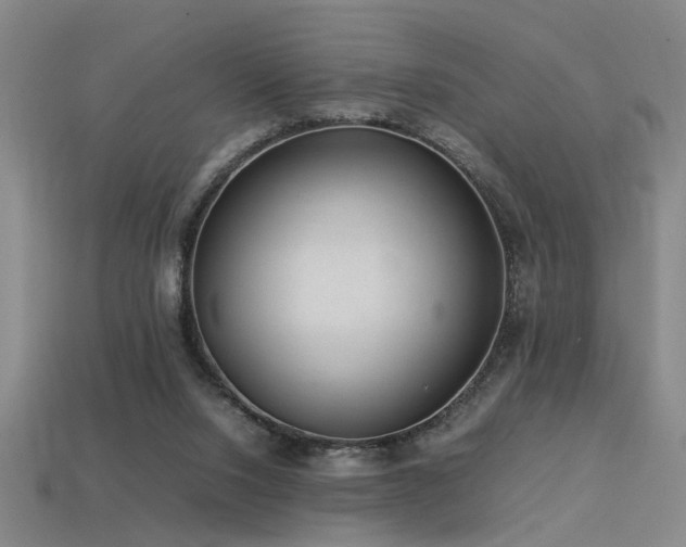 X0000113620064200909181448