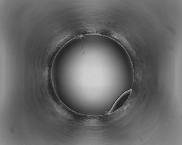 X0000113620066200909181448