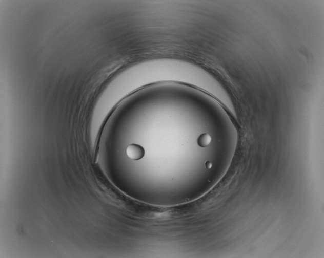 X0000113620068200909181448