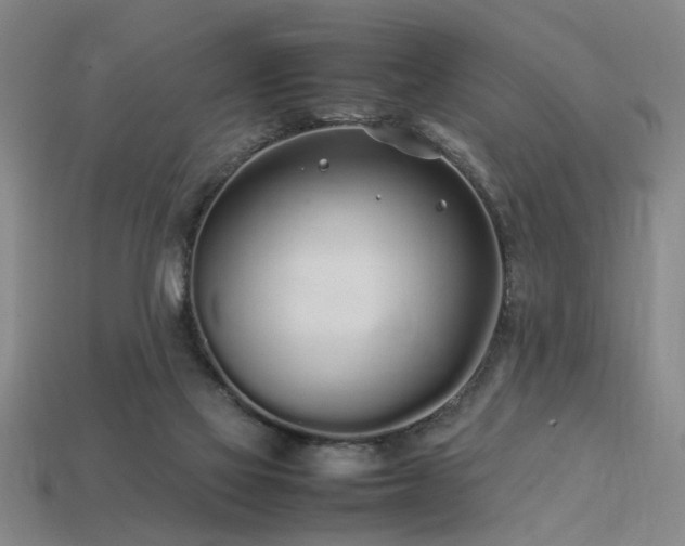 X0000113620069200909181448