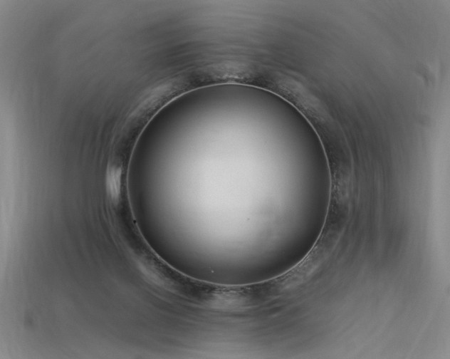 X0000113620070200909181448