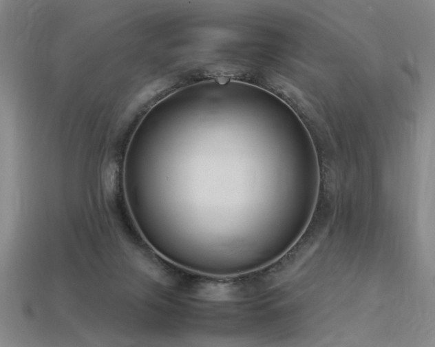 X0000113620071200909181448