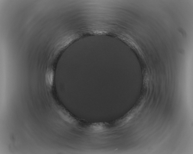 X0000113620076200909181448