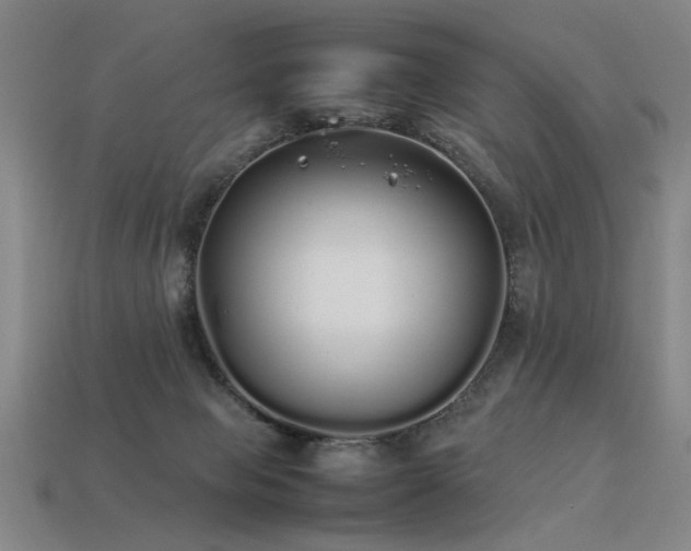 X0000113620077200909181448