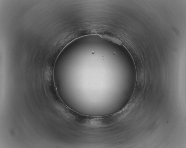 X0000113620078200909181448