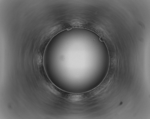 X0000113620081200909181448