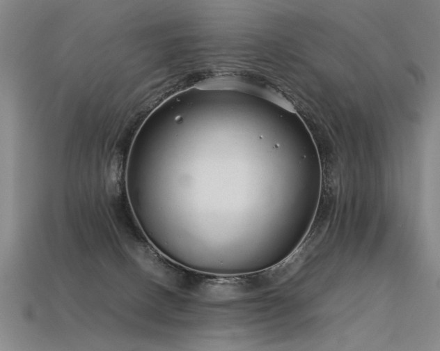 X0000113620082200909181448