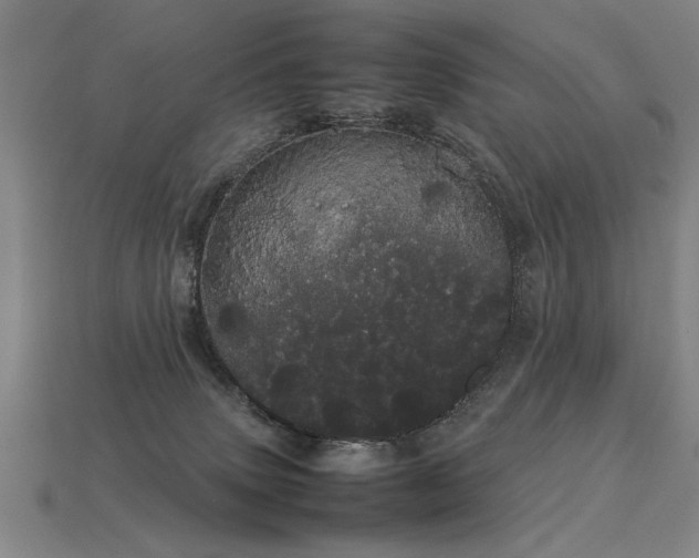 X0000113620083200909181448