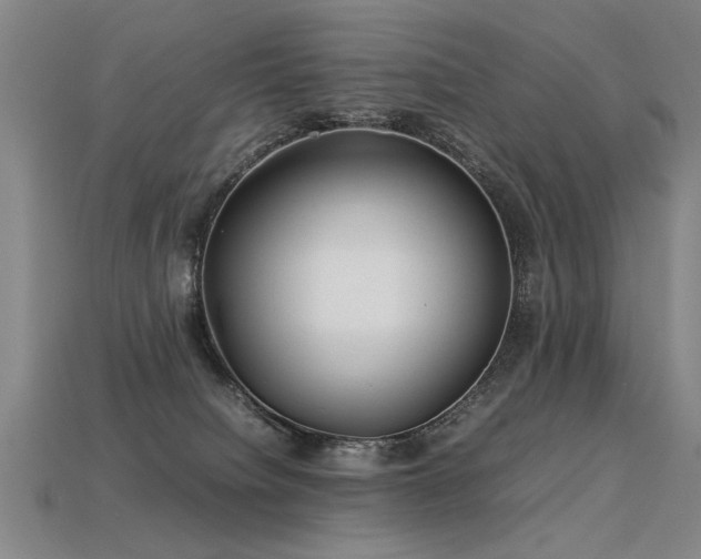 X0000113620084200909181448