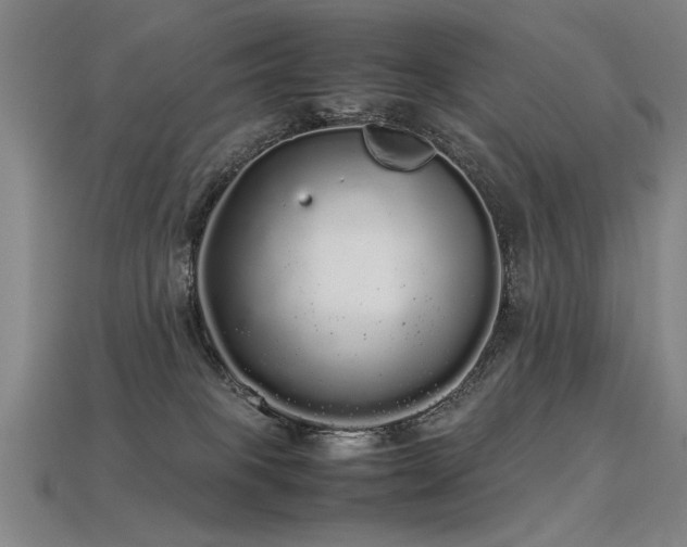 X0000113620085200909181448