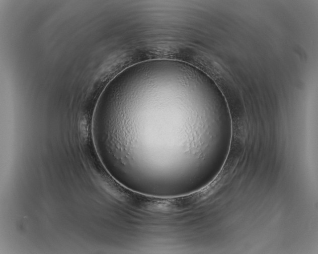 X0000113620086200909181448