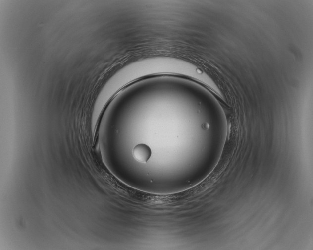 X0000113620088200909181448