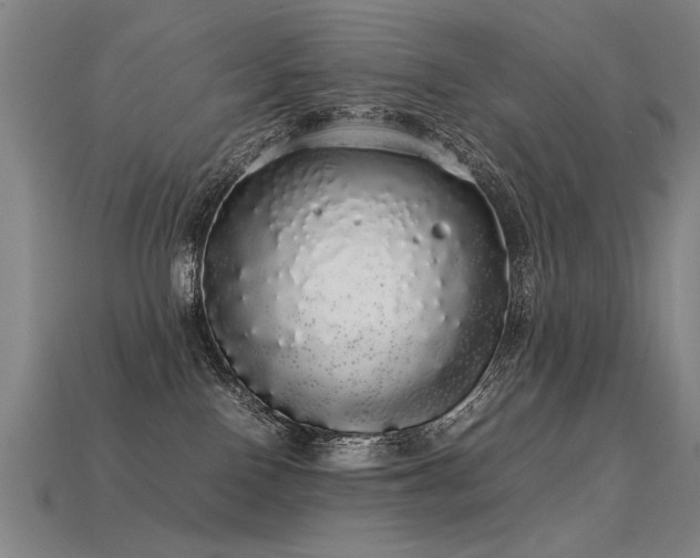 X0000113620090200909181448