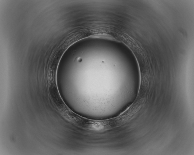 X0000113620091200909181448