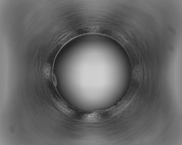 X0000113620092200909181448