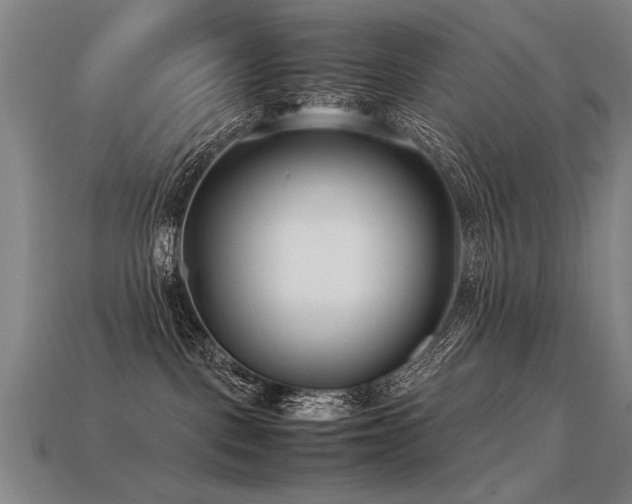 X0000113620093200909181448