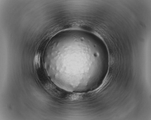 X0000113620094200909181448