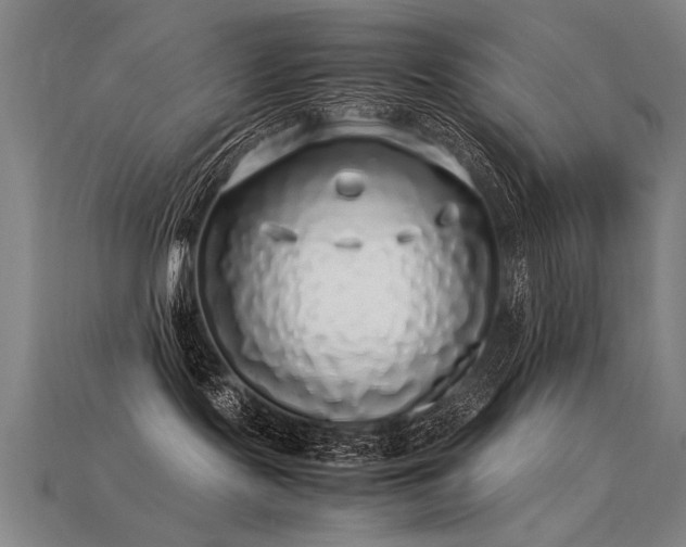 X0000113620095200909181448