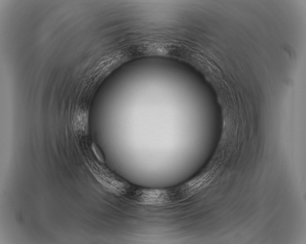 X0000113620096200909181448