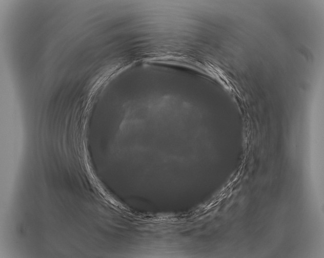 X0000113620097200909181448