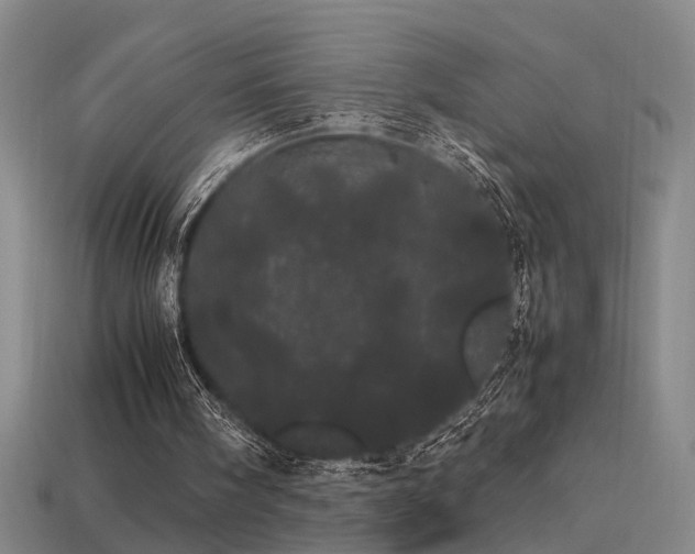 X0000113620098200909181448