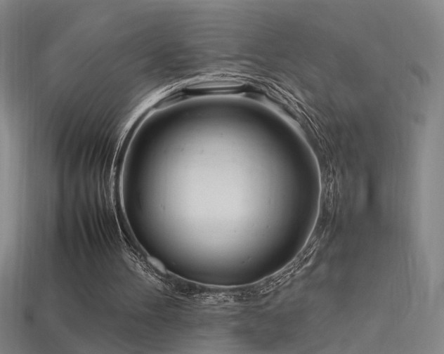 X0000113620100200909181448