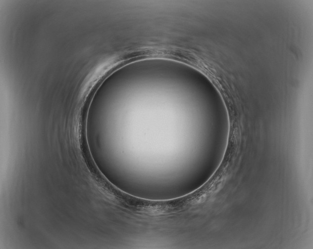 X0000113620103200909181448