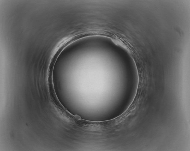 X0000113620104200909181448