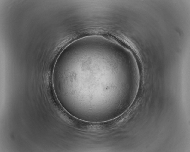 X0000113620105200909181448