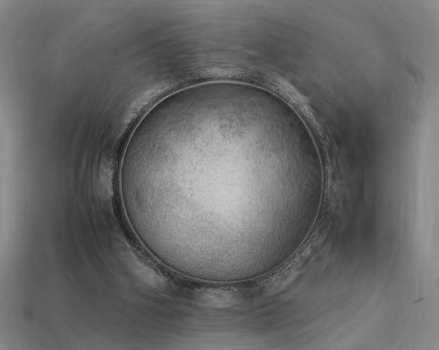 X0000113620106200909181448