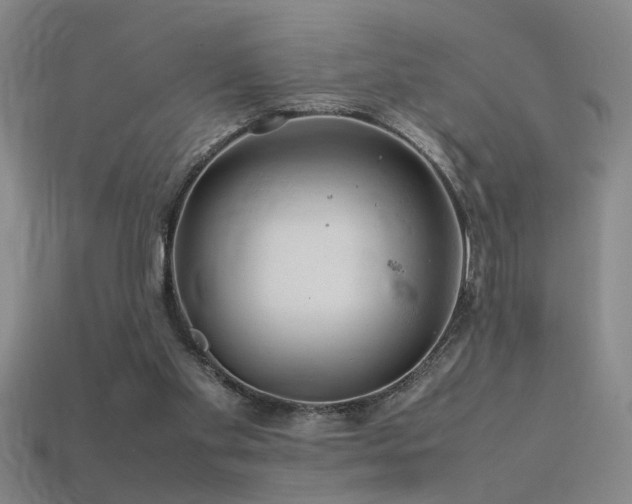 X0000113620109200909181448