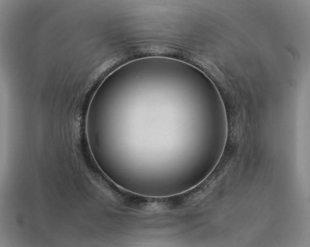 X0000113620111200909181448