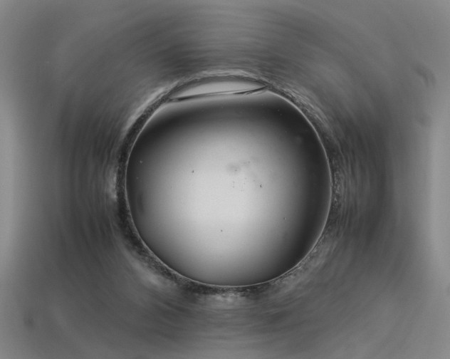 X0000113620112200909181448