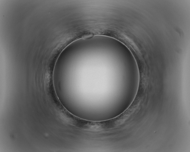 X0000113620113200909181447