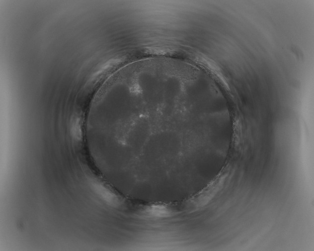 X0000113620114200909181447