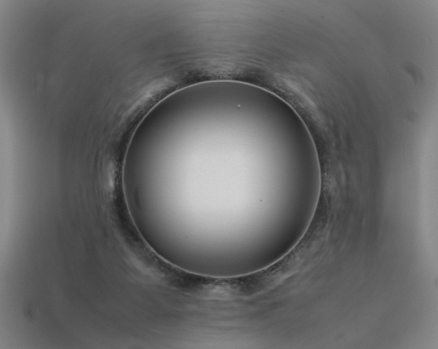 X0000113620115200909181447