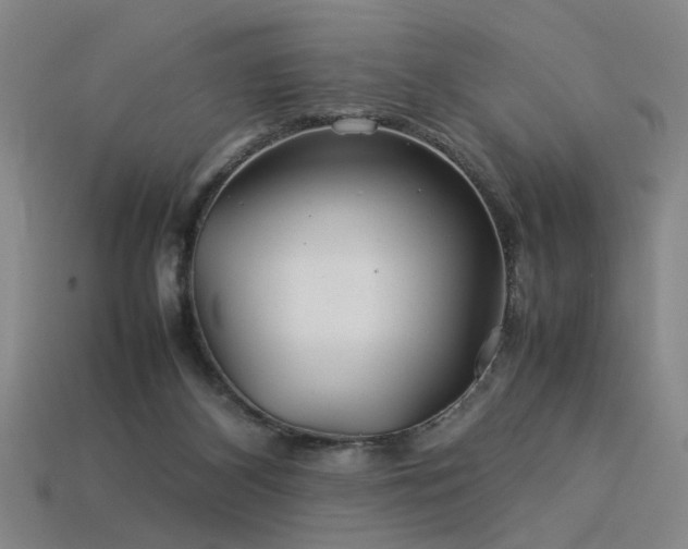 X0000113620116200909181447