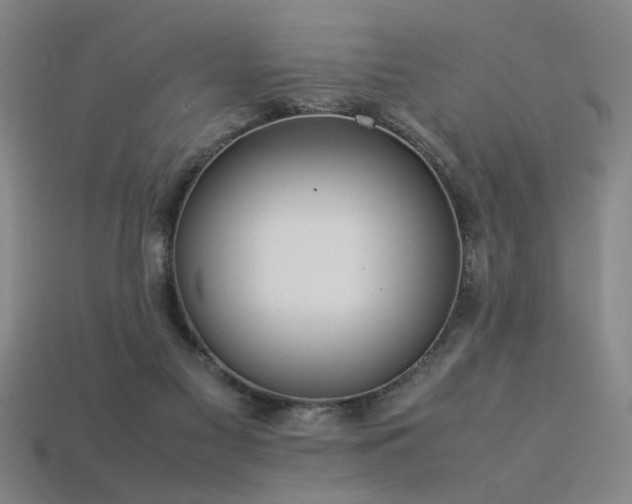 X0000113620117200909181447