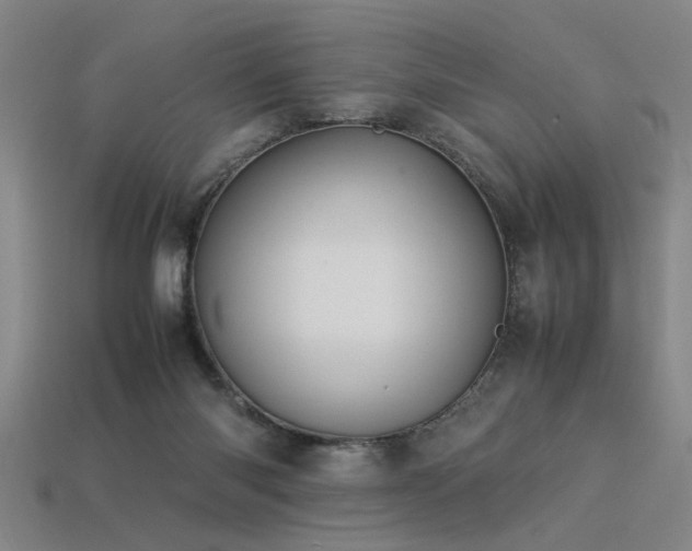 X0000113620118200909181447