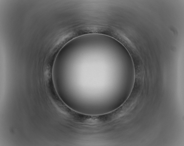 X0000113620119200909181447