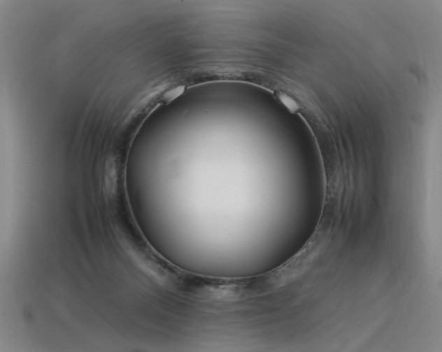 X0000113620120200909181447