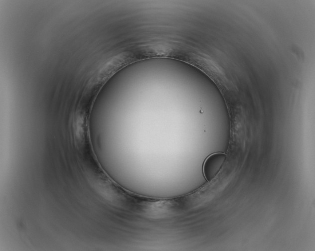 X0000113620122200909181447