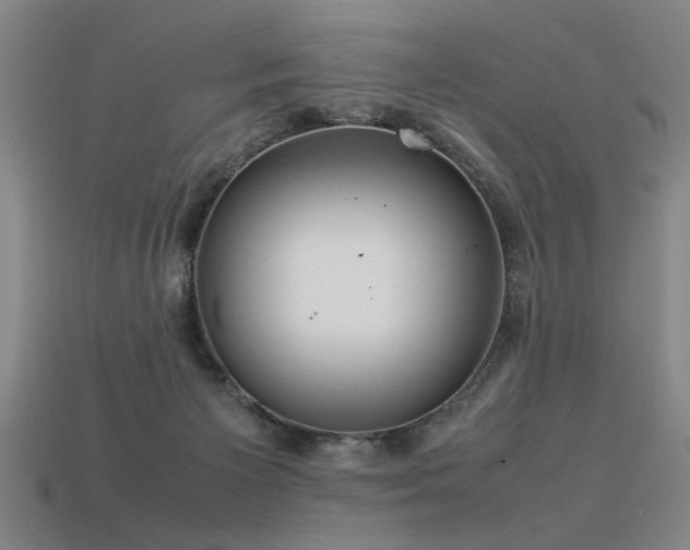 X0000113620125200909181447